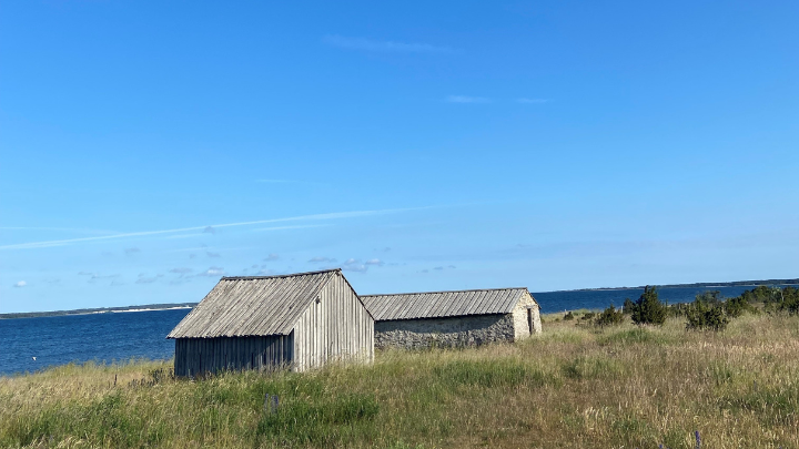 Två stenhus står i högt gräs, med blå himmel och havet framför.