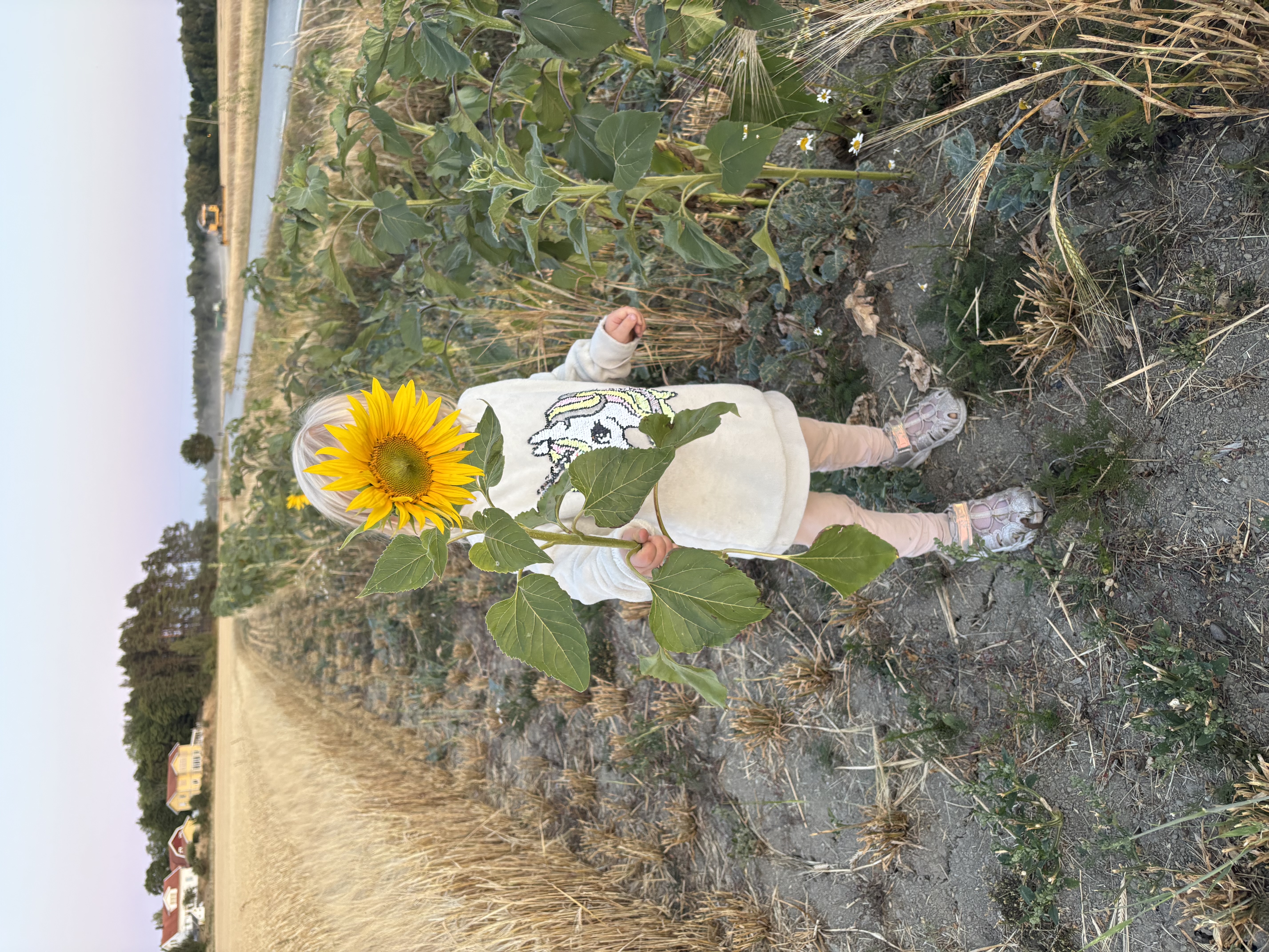 16x9 Image