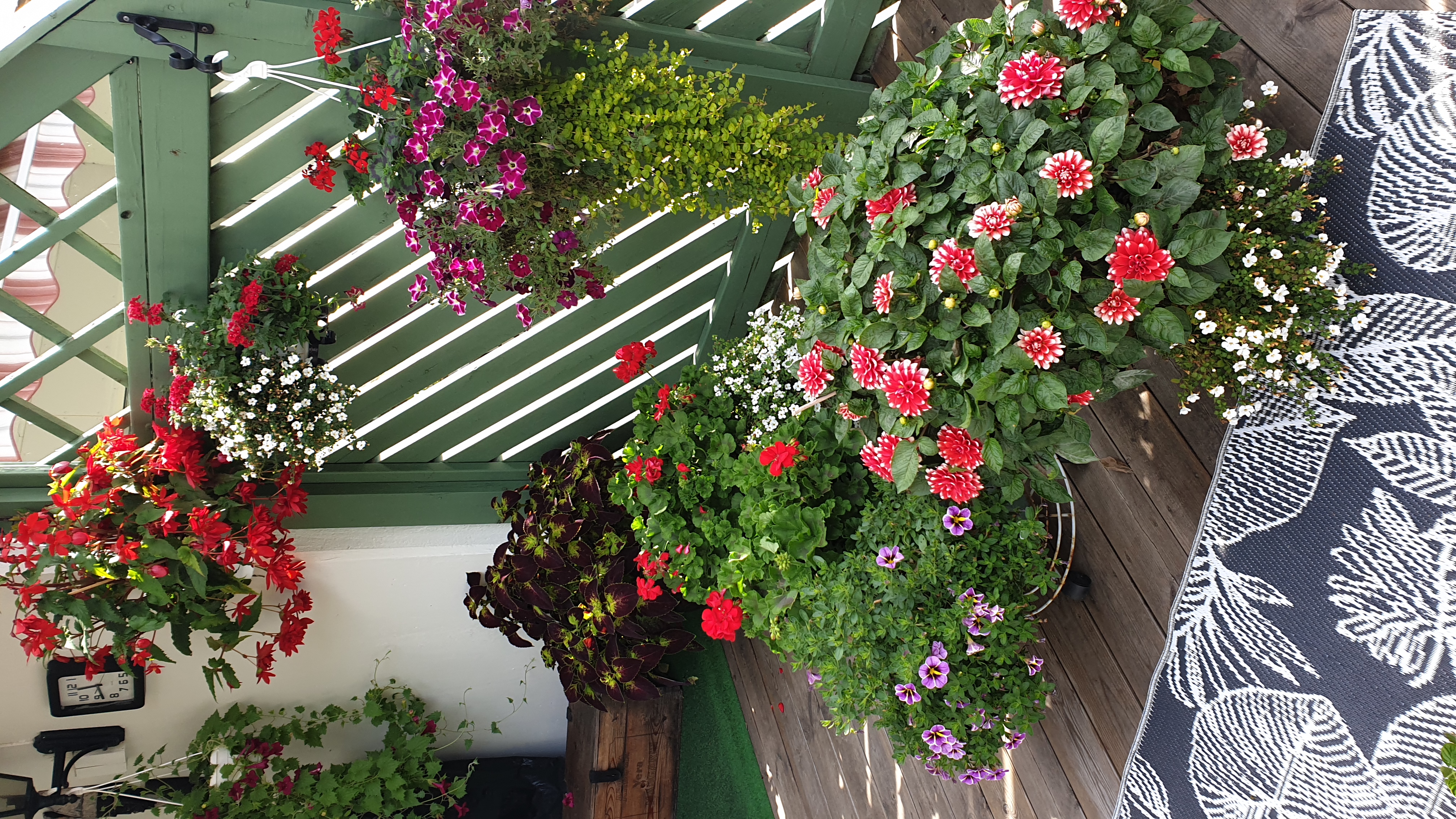 logotyp Stig o Birgitta