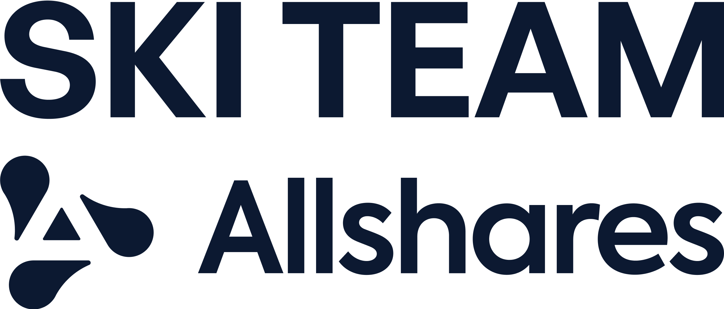 logotyp Allshares Ski Team